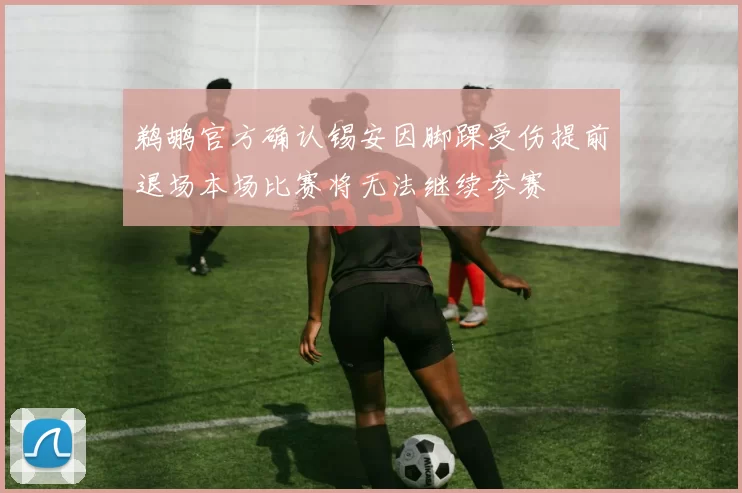 鹈鹕官方确认锡安因脚踝受伤提前退场本场比赛将无法继续参赛