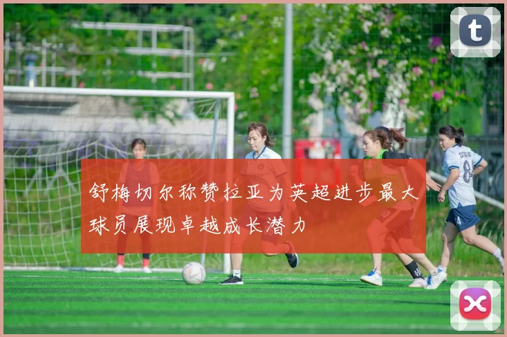 舒梅切尔称赞拉亚为英超进步最大球员展现卓越成长潜力