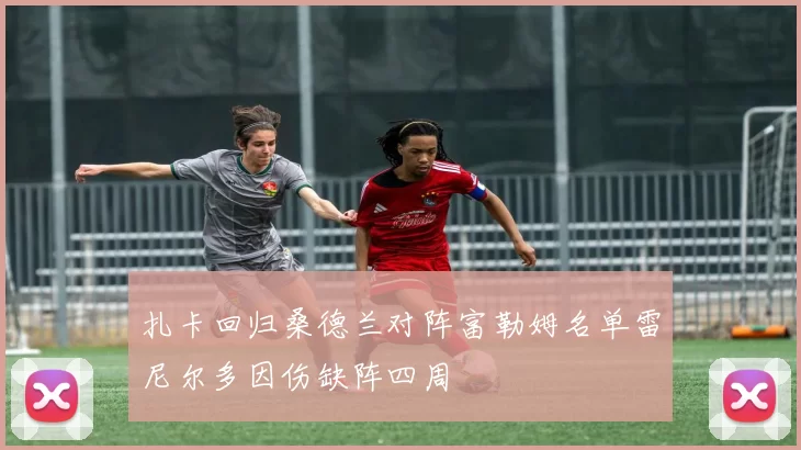 扎卡回归桑德兰对阵富勒姆名单雷尼尔多因伤缺阵四周